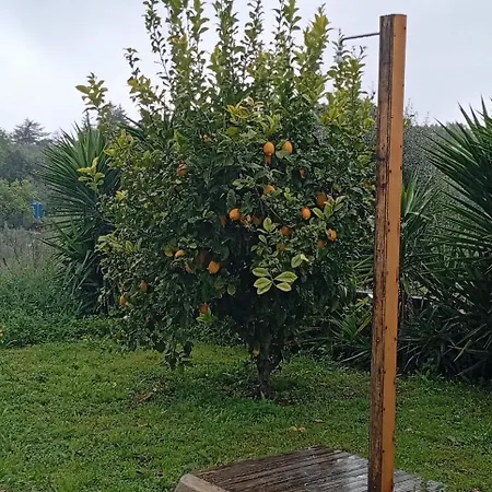 Quinta Do Americano Apartament Sardoal