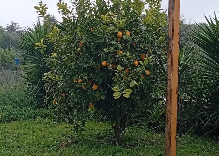 Quinta Do Americano Lejlighed Sardoal